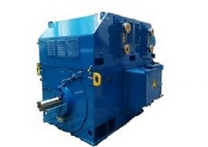 LCGK Series Direct Drive and Gearless Motor