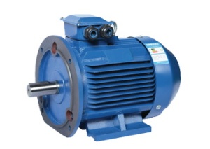LCGK Series Common Type Permanent Magnet Motor