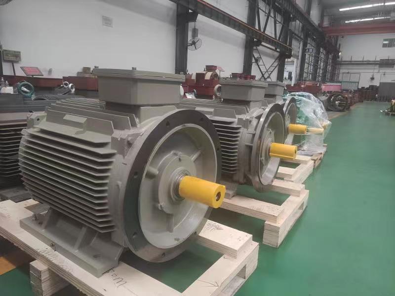 LCGK Series Common Type Permanent Magnet Motor