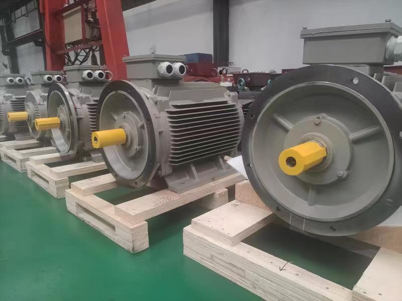 LCGK Series Common Type Permanent Magnet Motor