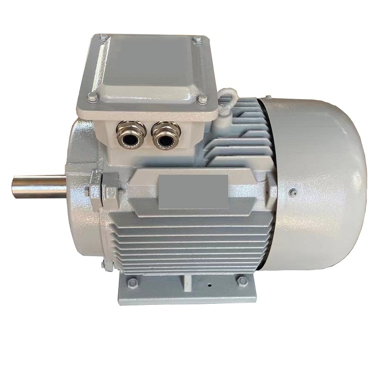Wind Power/Water Power Permanent Magnet Generator