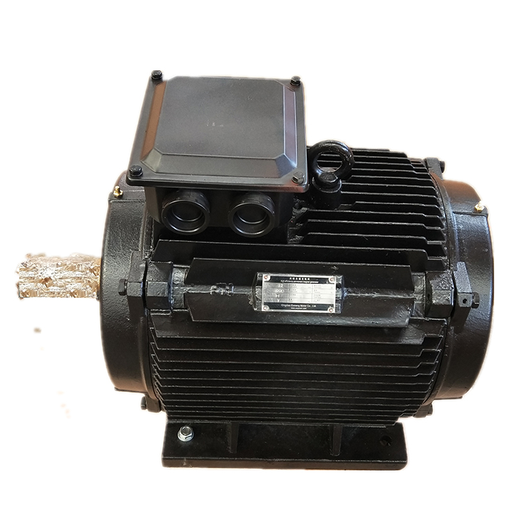 Wind Power/Water Power Permanent Magnet Generator