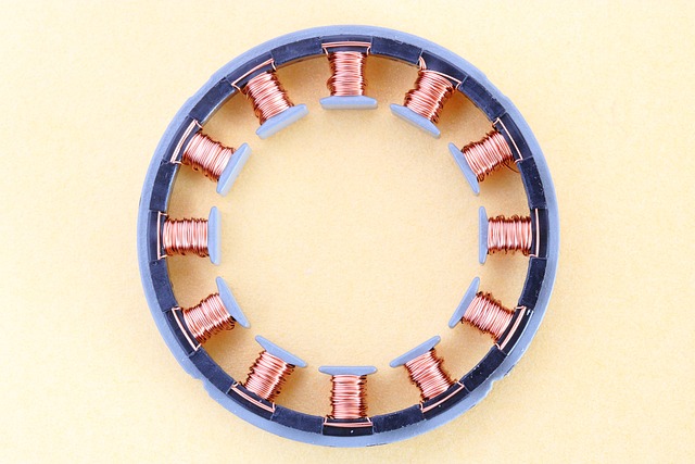 The stator winding in a motor.