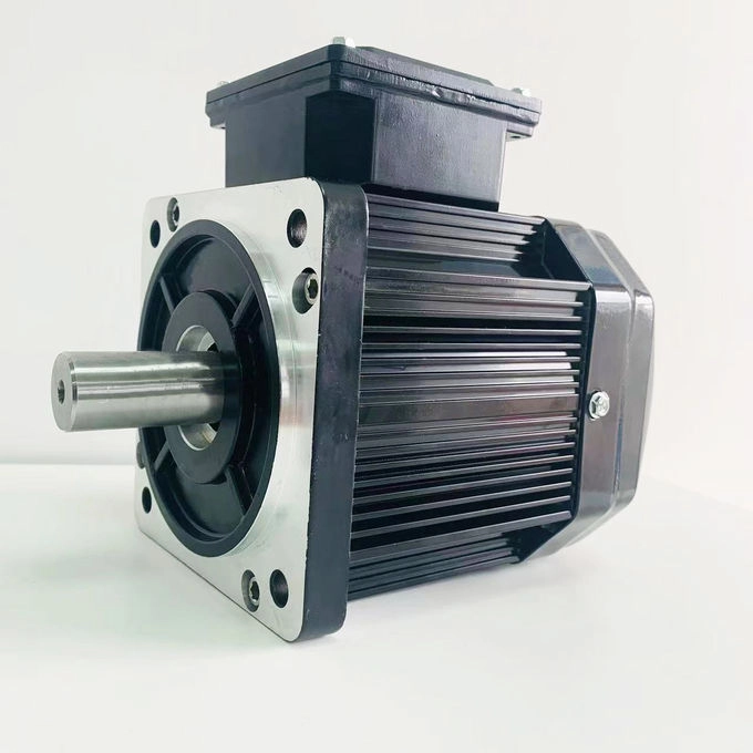 Low-Speed Large Torque pmsm