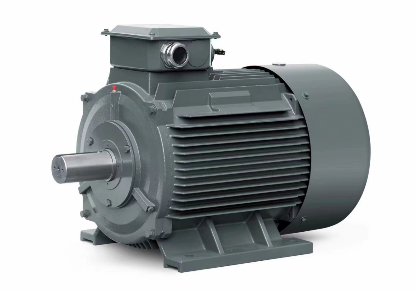 Permanent Magnet Synchronous Motors