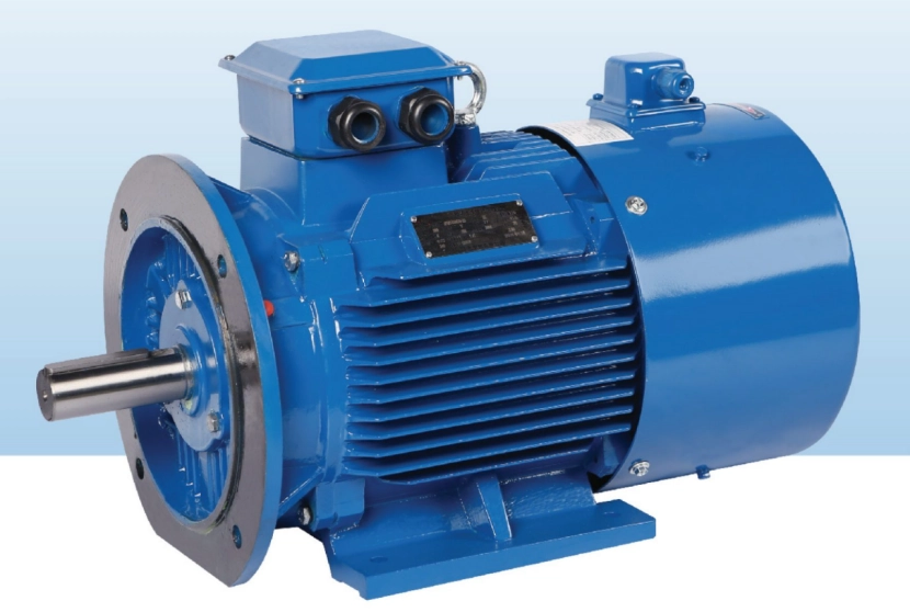 Permanent Magnet Synchronous Motors